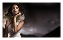 2025最新版本的攻击网站服务器